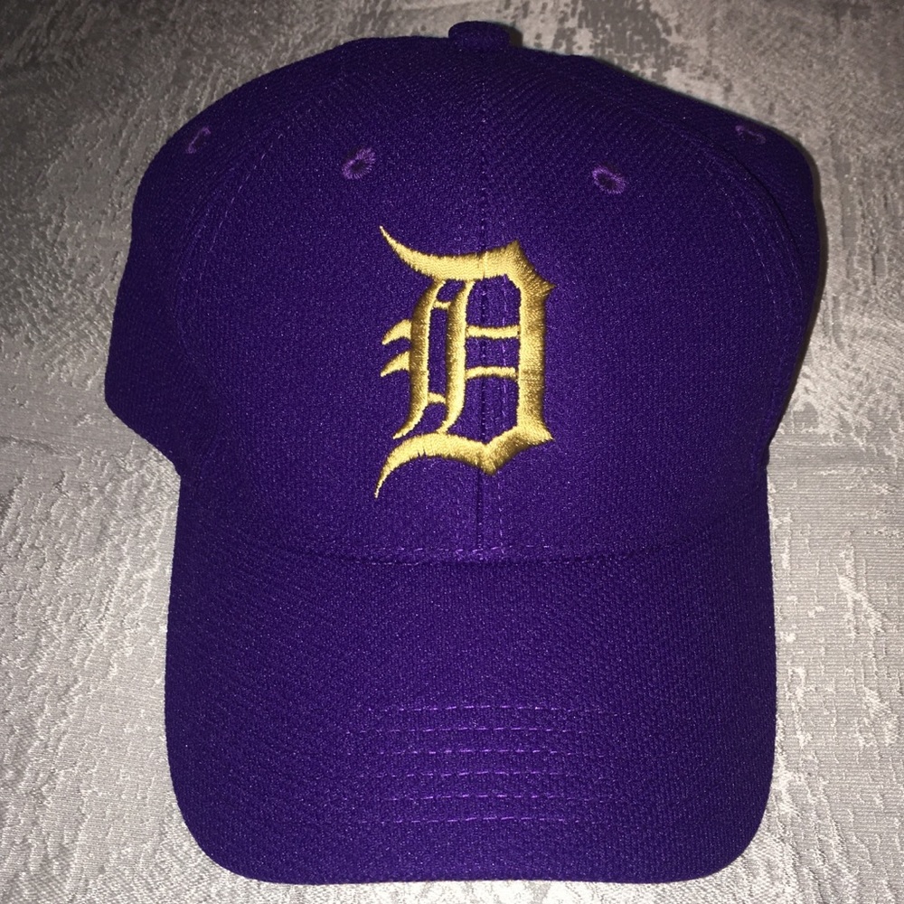 NWOT Hat